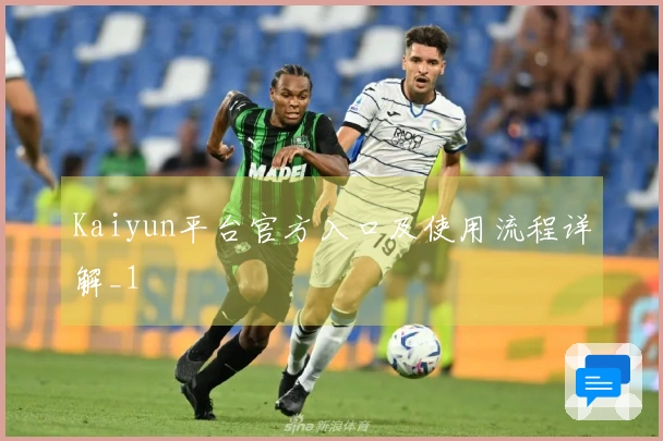 Kaiyun平台官方入口及使用流程详解_1