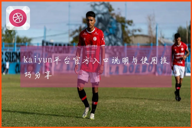 kaiyun平台官方入口说明与使用技巧分享